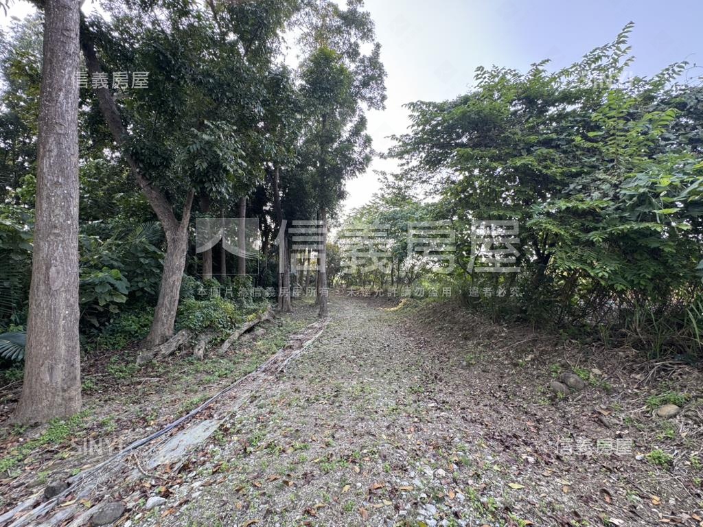 台南玉井約１８４２坪土地房屋室內格局與周邊環境