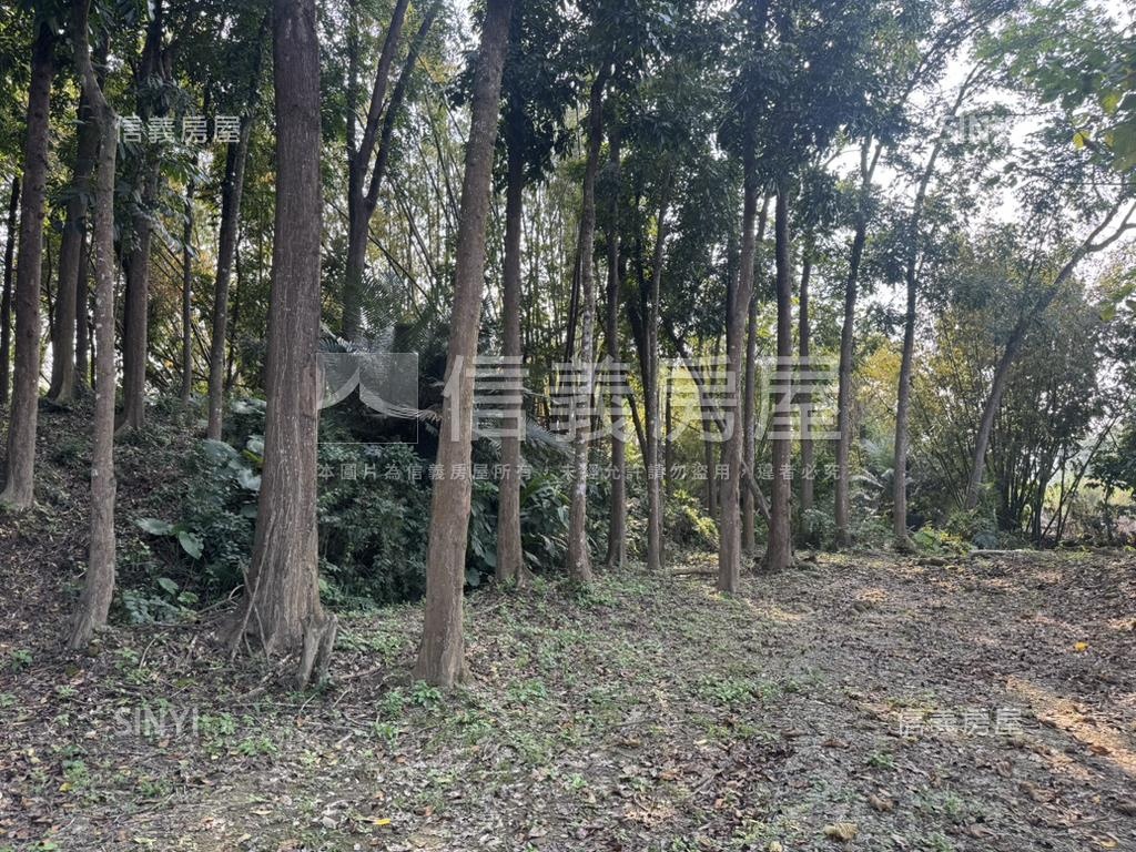 台南玉井約１８４２坪土地房屋室內格局與周邊環境