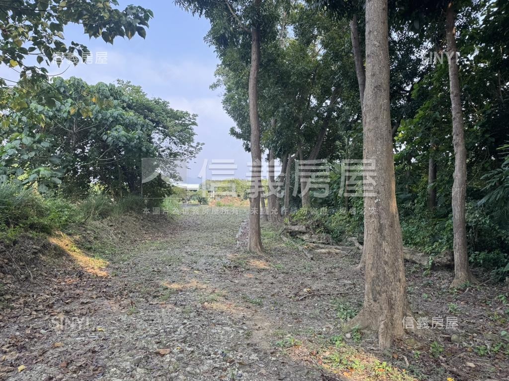台南玉井約１８４２坪土地房屋室內格局與周邊環境