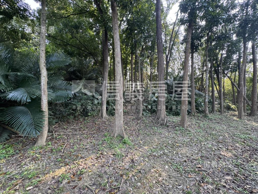 台南玉井約１８４２坪土地房屋室內格局與周邊環境