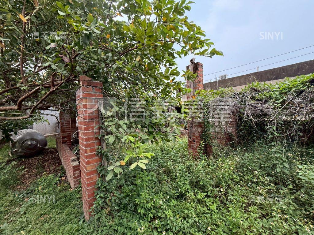 善化約９９坪土地房屋室內格局與周邊環境