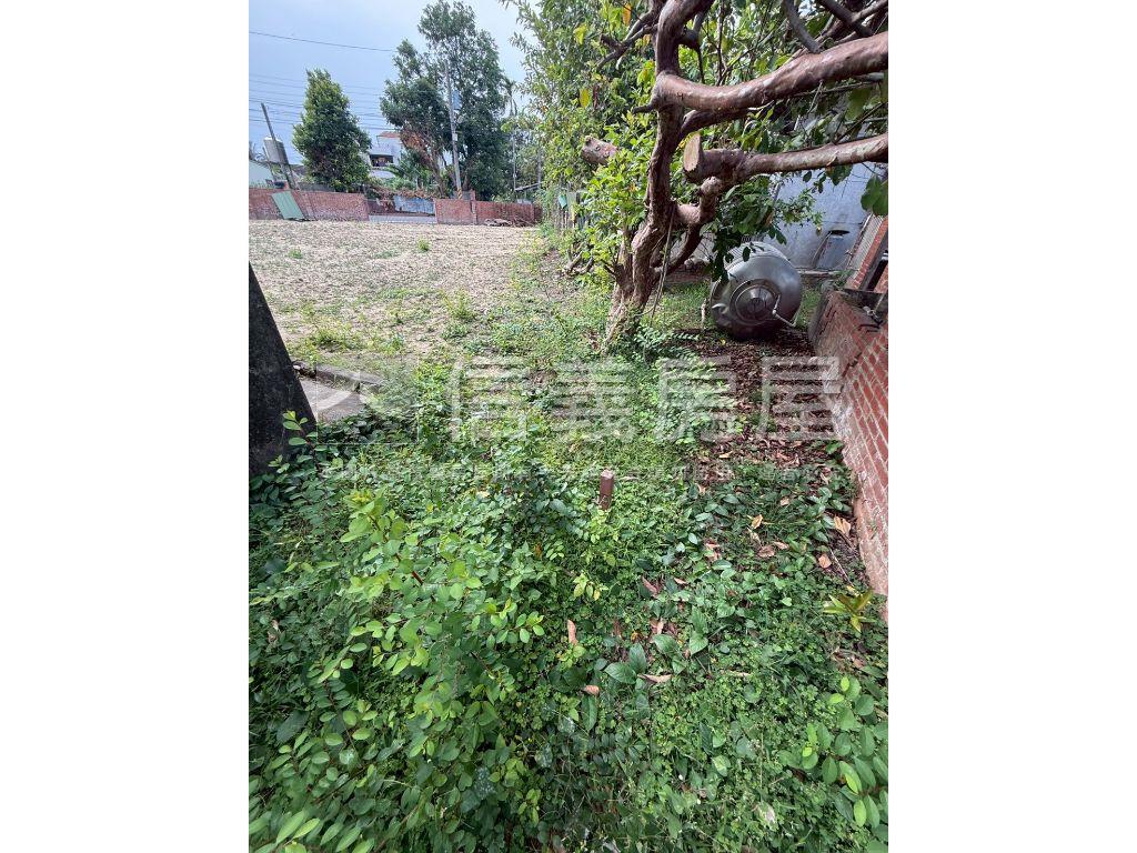 善化約９９坪土地房屋室內格局與周邊環境