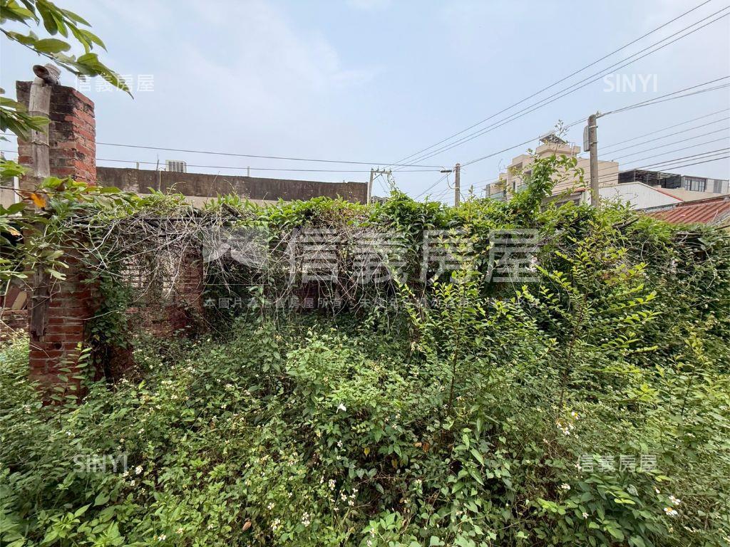 善化約９９坪土地房屋室內格局與周邊環境