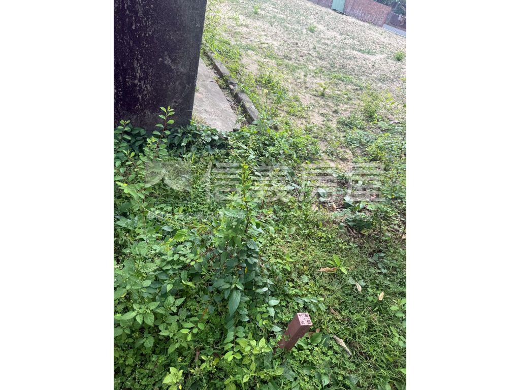 善化約９９坪土地房屋室內格局與周邊環境