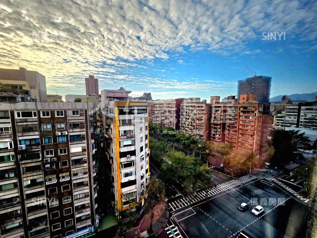 仁愛尚華朝南高樓豪邸房屋室內格局與周邊環境