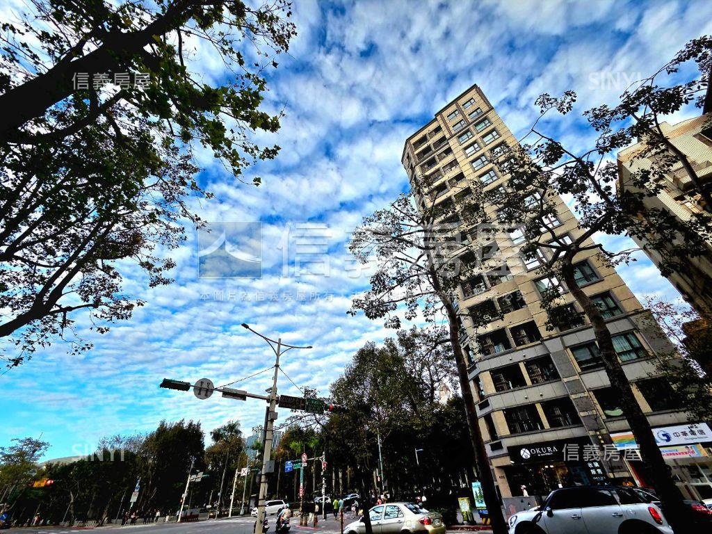 仁愛尚華朝南高樓豪邸房屋室內格局與周邊環境