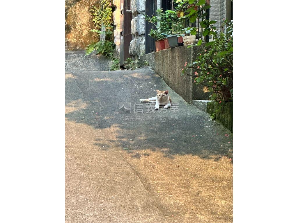 北投租寶盒★極致溫馨宅房屋室內格局與周邊環境