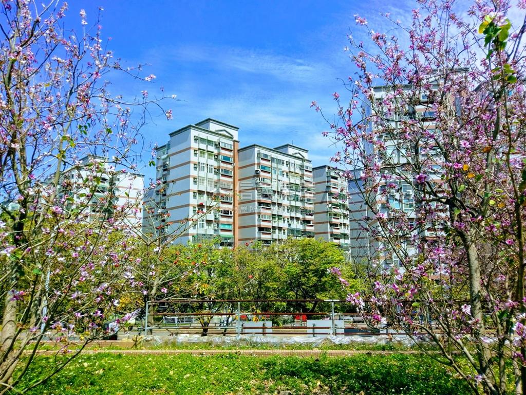 專任＿公學乙幸福成家三房房屋室內格局與周邊環境