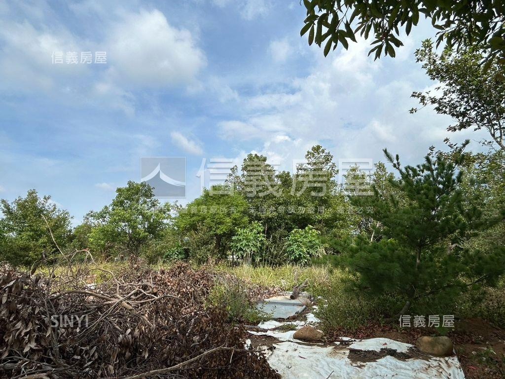 虎頭山休閒農地房屋室內格局與周邊環境