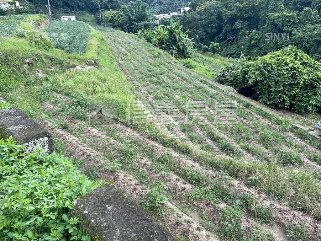 大湖段２０８－１４６農牧房屋室內格局與周邊環境