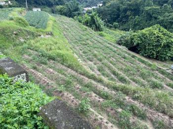 大湖段２０８－１４６農牧