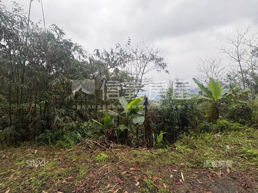 宜蘭千坪土地房屋室內格局與周邊環境