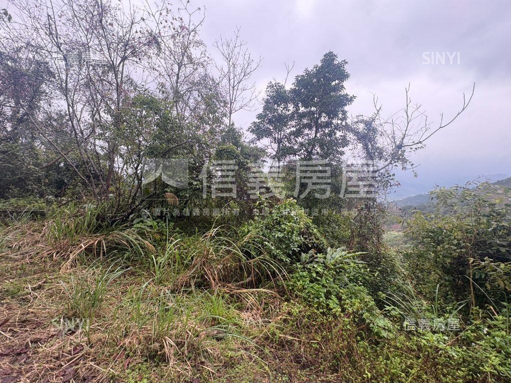 宜蘭千坪土地房屋室內格局與周邊環境