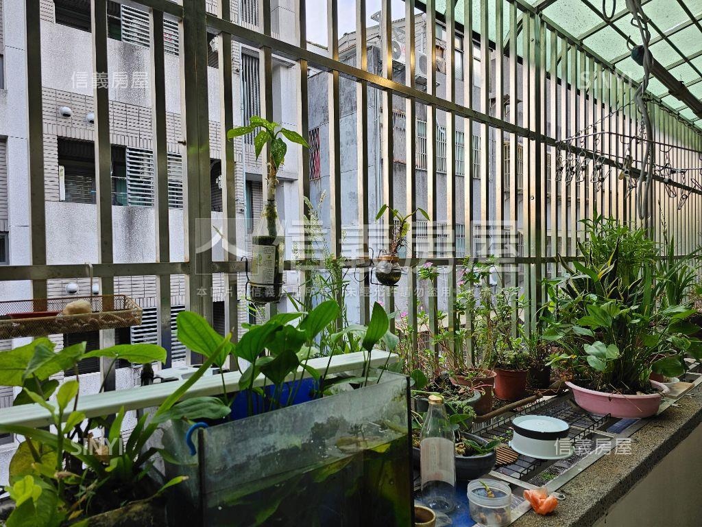 ㊣雙敦學區公寓有內梯頂加房屋室內格局與周邊環境