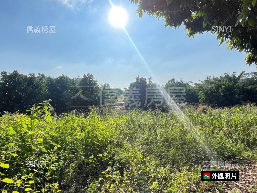 【山上區】一般農業用地房屋室內格局與周邊環境