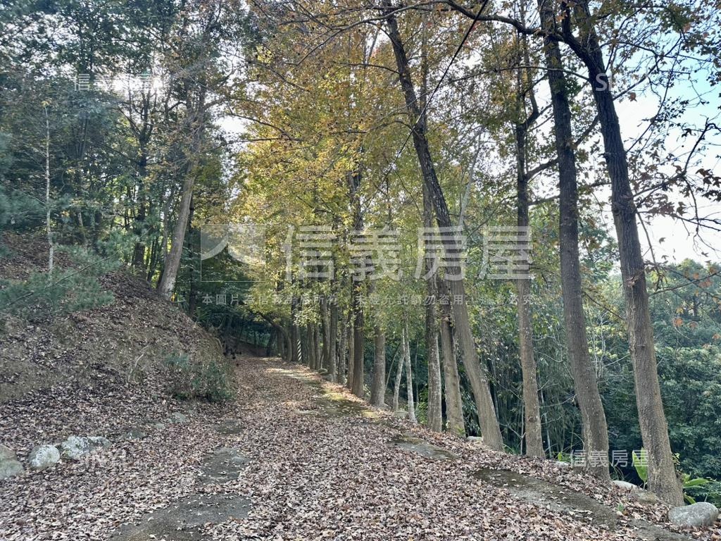 近華盛頓４１９１坪度假村房屋室內格局與周邊環境