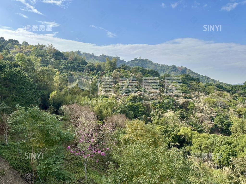 近華盛頓４１９１坪度假村房屋室內格局與周邊環境