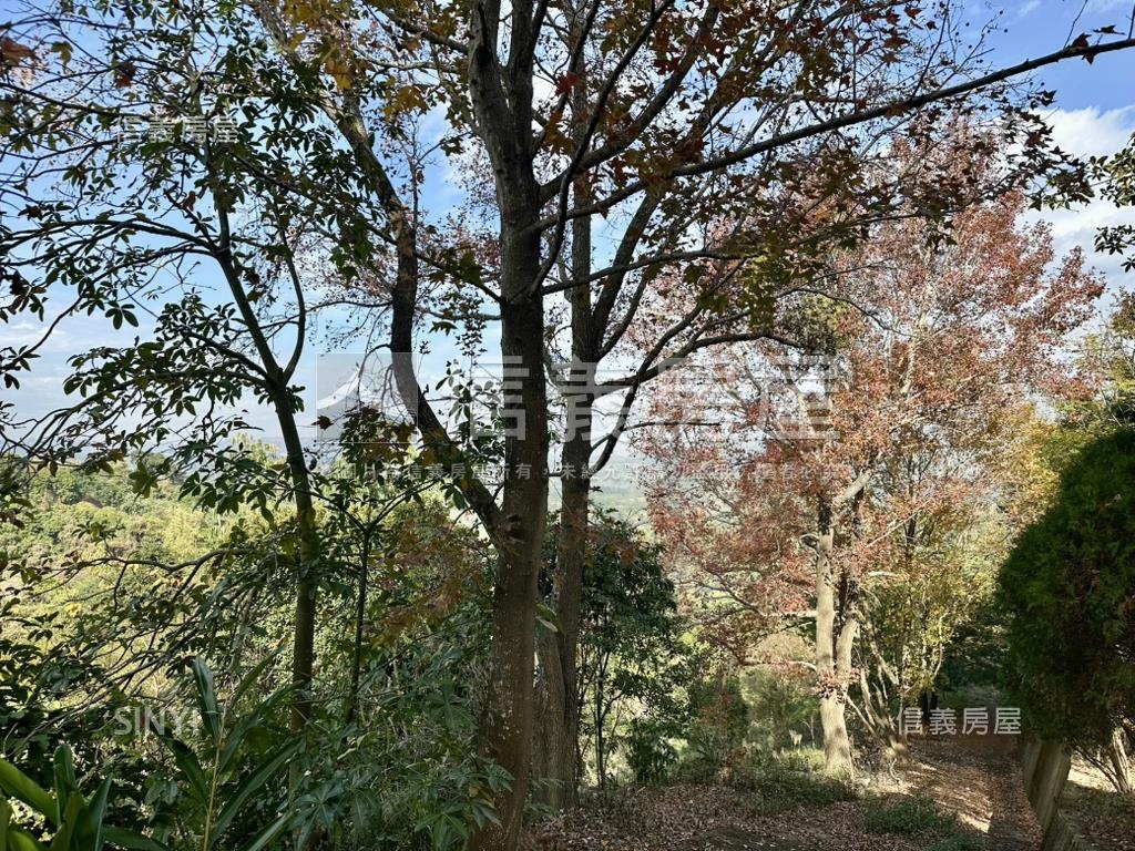 近華盛頓４１９１坪度假村房屋室內格局與周邊環境