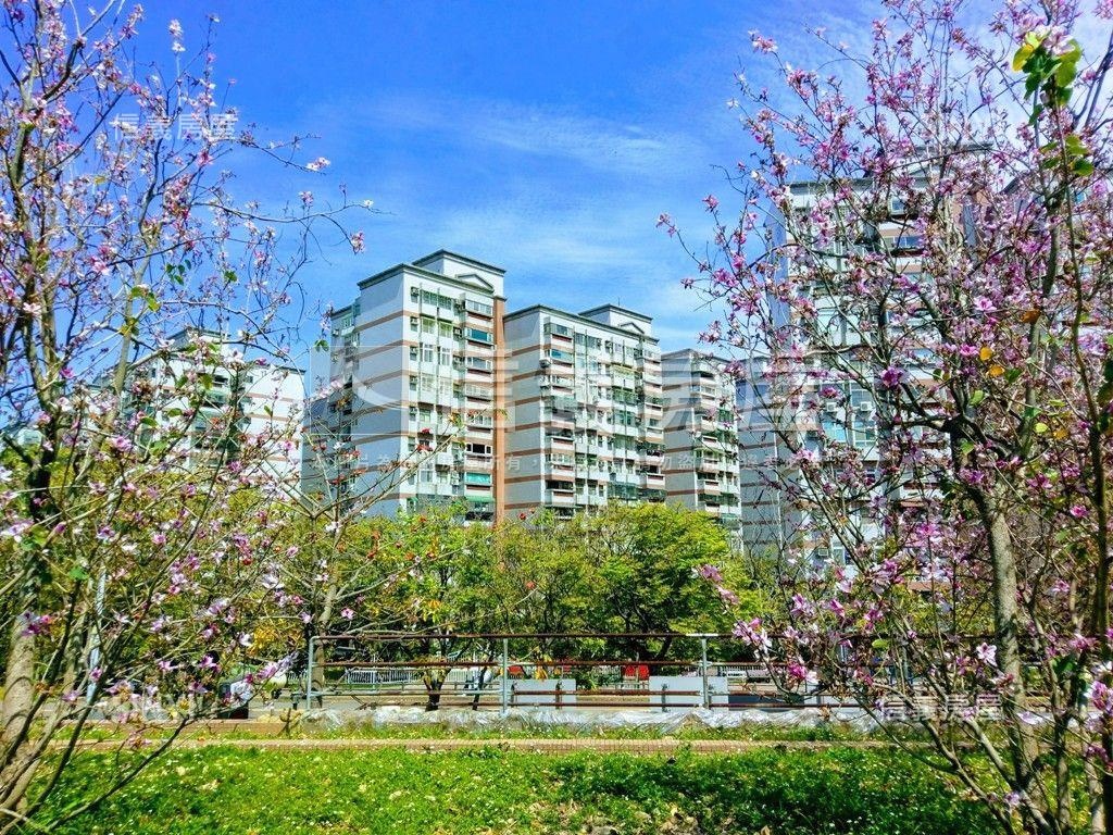 公學新城乙區採光三房房屋室內格局與周邊環境