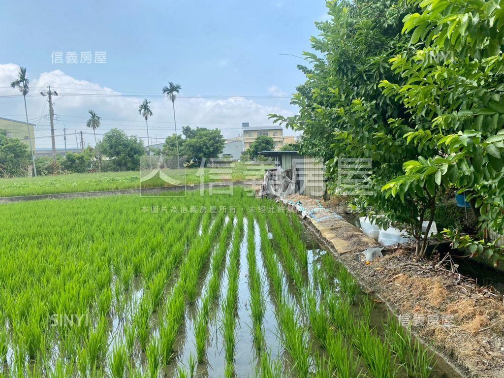 大雅近水湳農地房屋室內格局與周邊環境