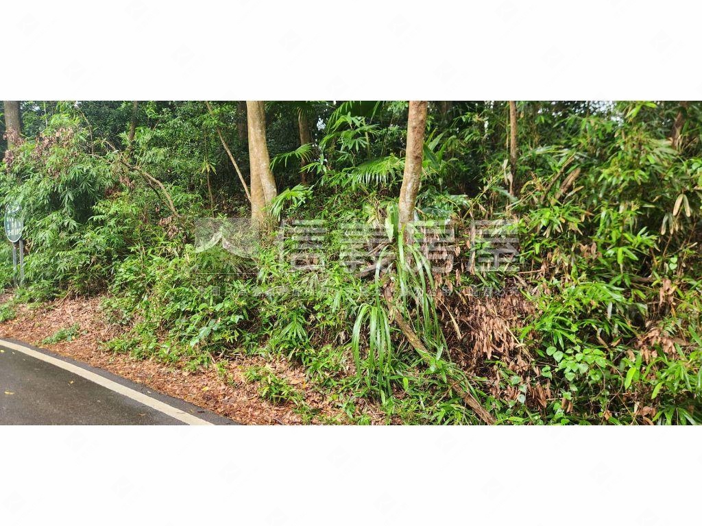 新社區臨路農牧用地房屋室內格局與周邊環境