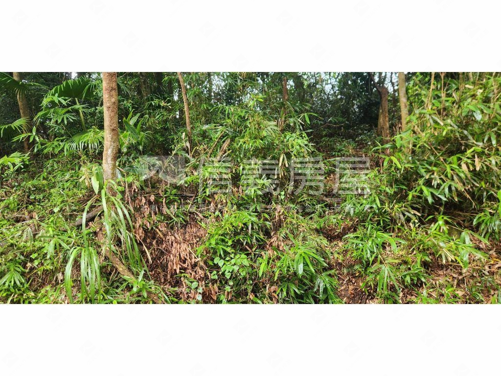 新社區臨路農牧用地房屋室內格局與周邊環境