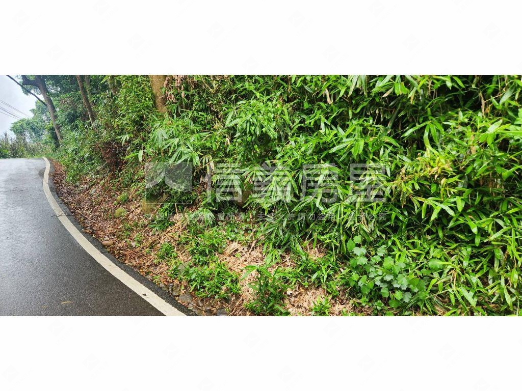 新社區臨路農牧用地房屋室內格局與周邊環境