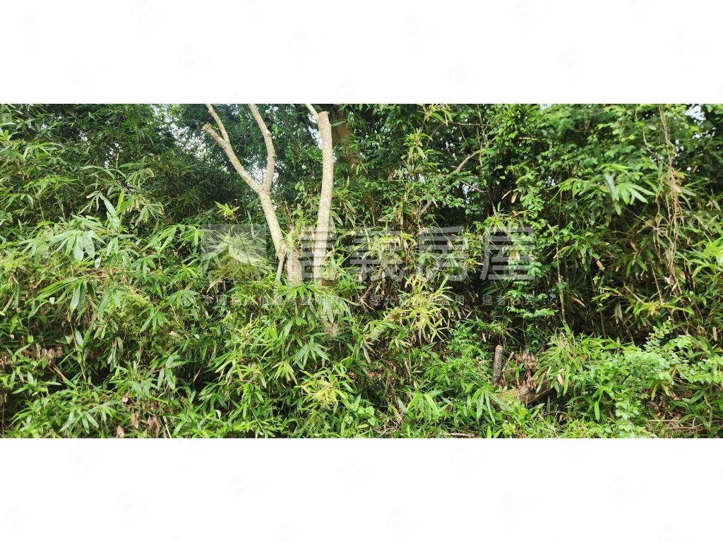 新社區臨路農牧用地房屋室內格局與周邊環境