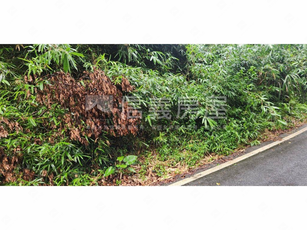 新社區臨路農牧用地房屋室內格局與周邊環境