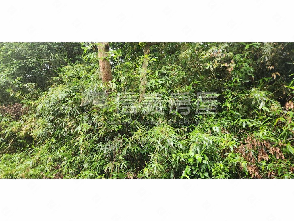 新社區臨路農牧用地房屋室內格局與周邊環境