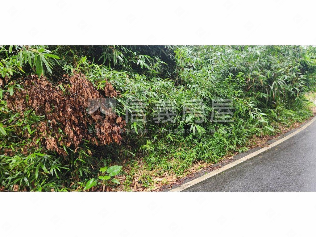 新社區臨路農牧用地房屋室內格局與周邊環境