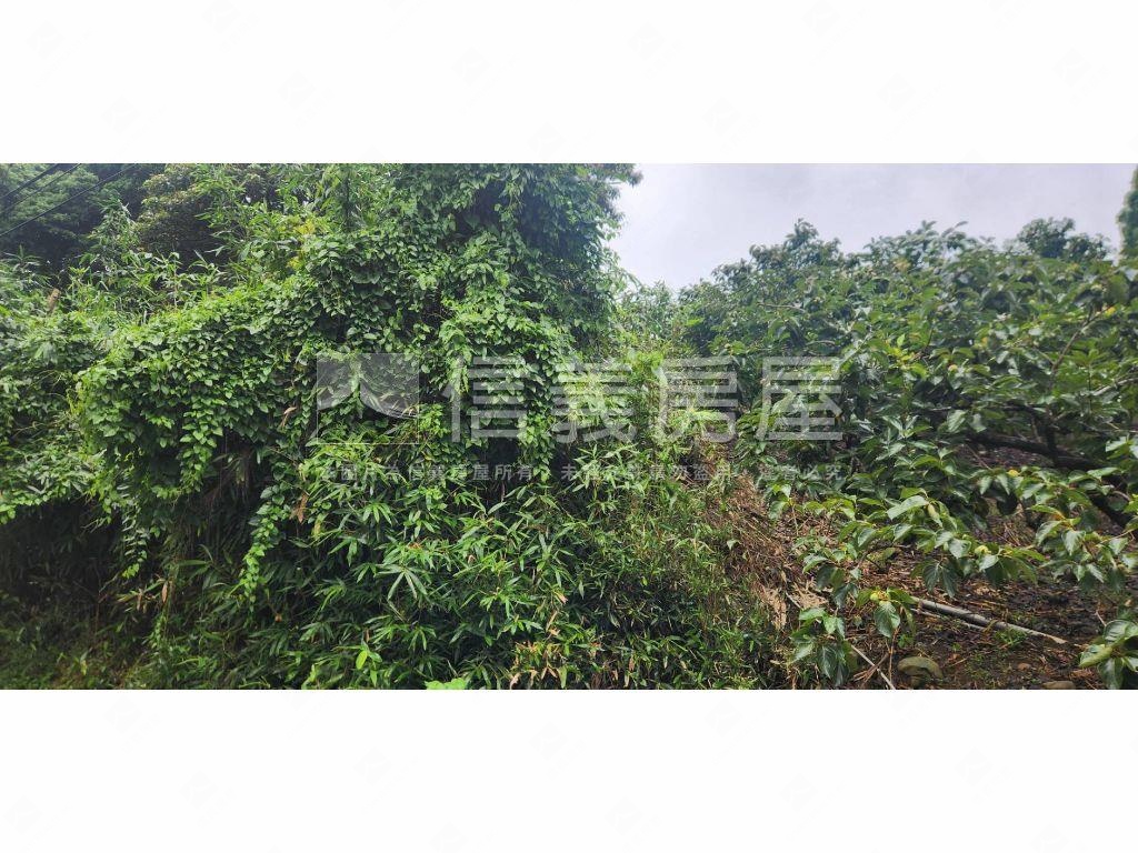 新社區臨路農牧用地房屋室內格局與周邊環境