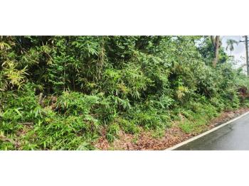 新社區臨路農牧用地