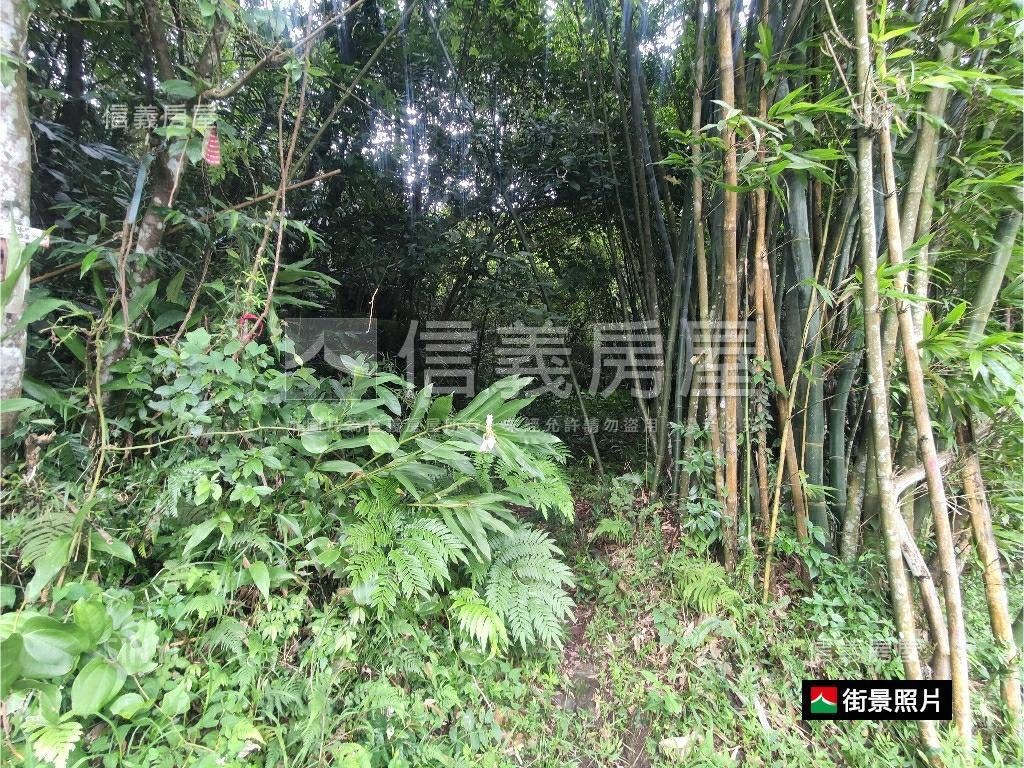 新店青潭段土地2房屋室內格局與周邊環境