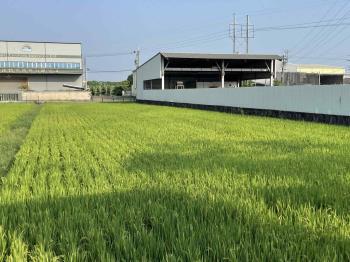 大寮光明約２８米正路土地
