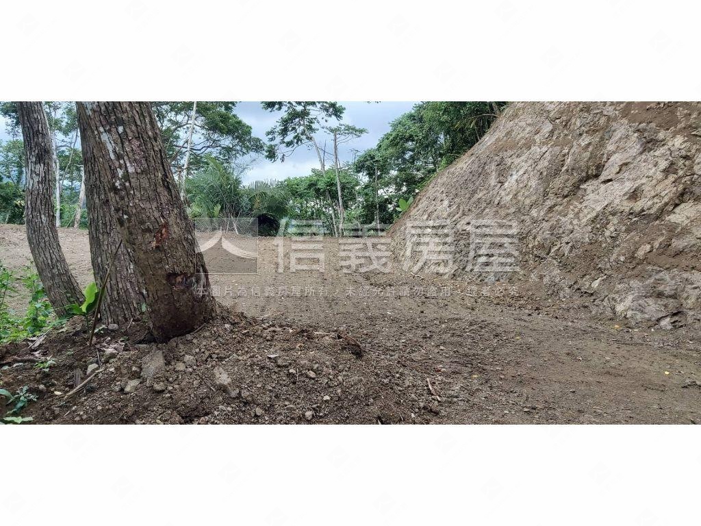 稀有橫山農地房屋室內格局與周邊環境