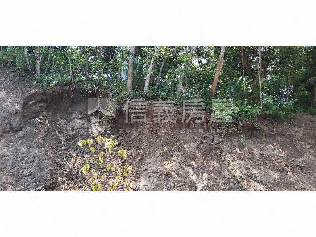 稀有橫山農地房屋室內格局與周邊環境