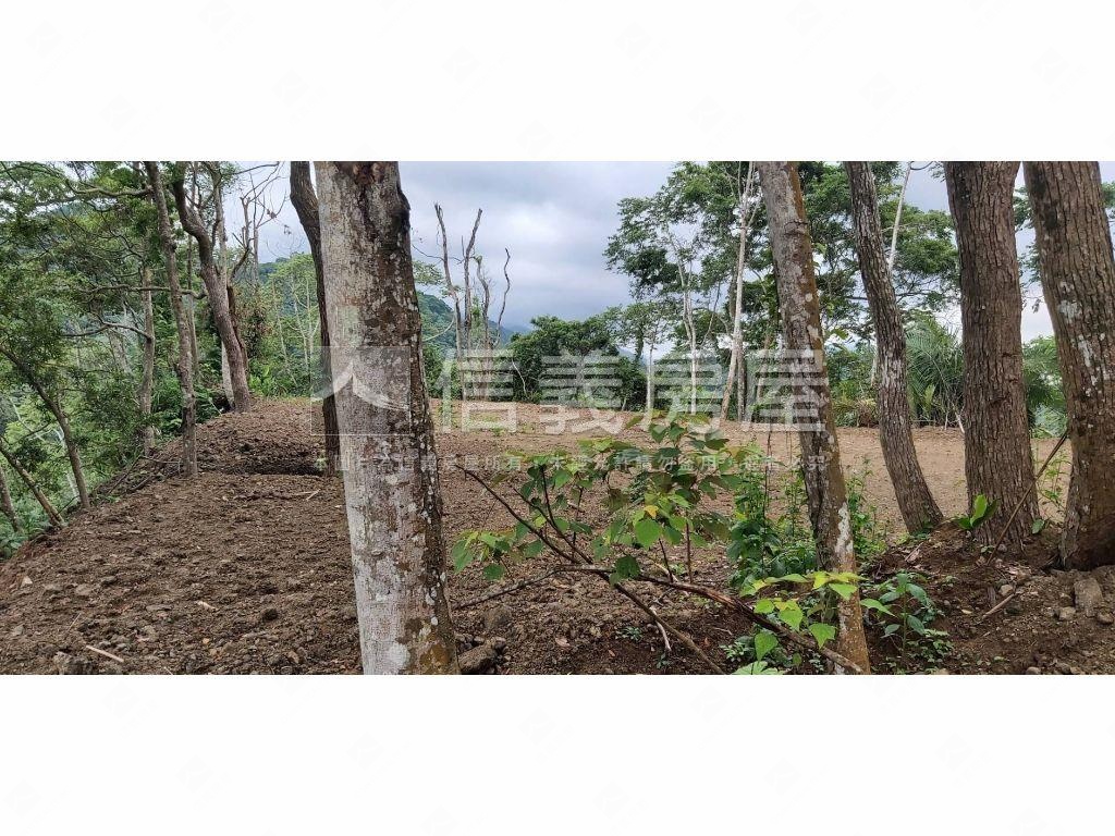 稀有橫山農地房屋室內格局與周邊環境