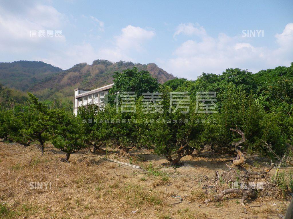 近美濃農會超市漂亮農地房屋室內格局與周邊環境