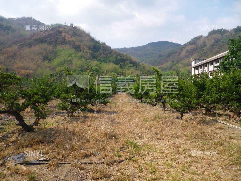 近美濃農會超市漂亮農地房屋室內格局與周邊環境