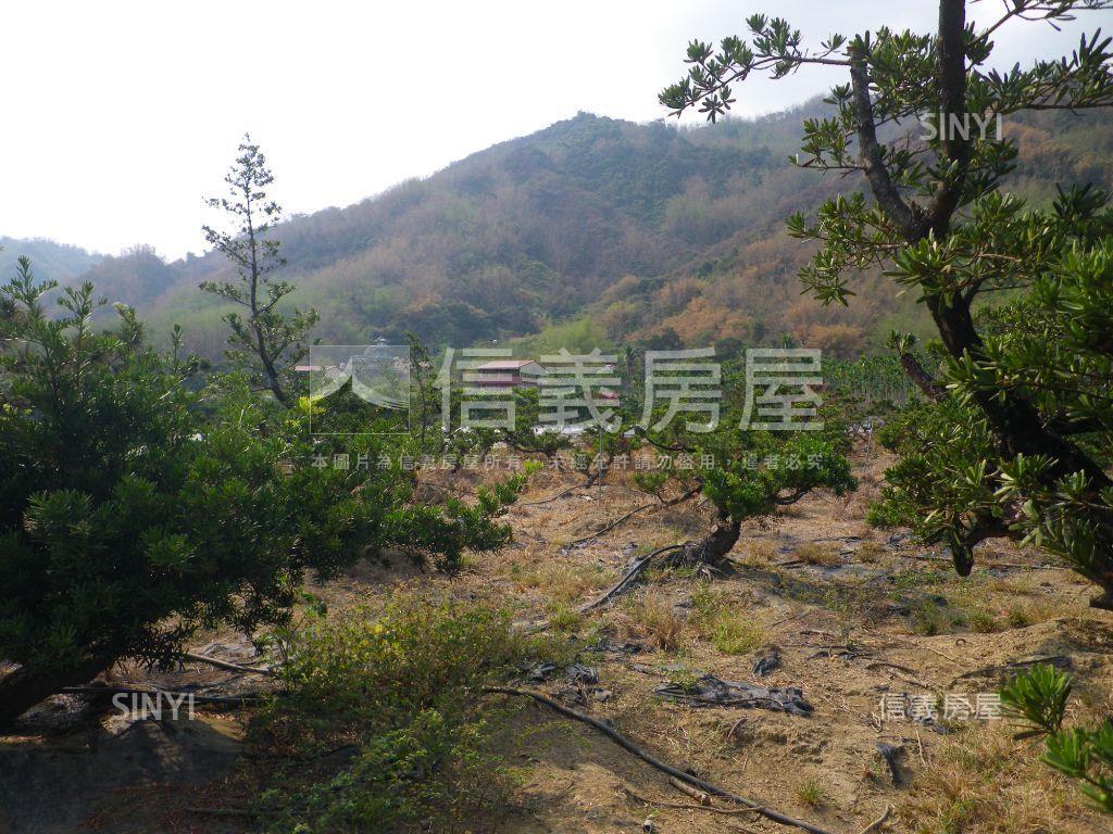 近美濃農會超市漂亮農地房屋室內格局與周邊環境