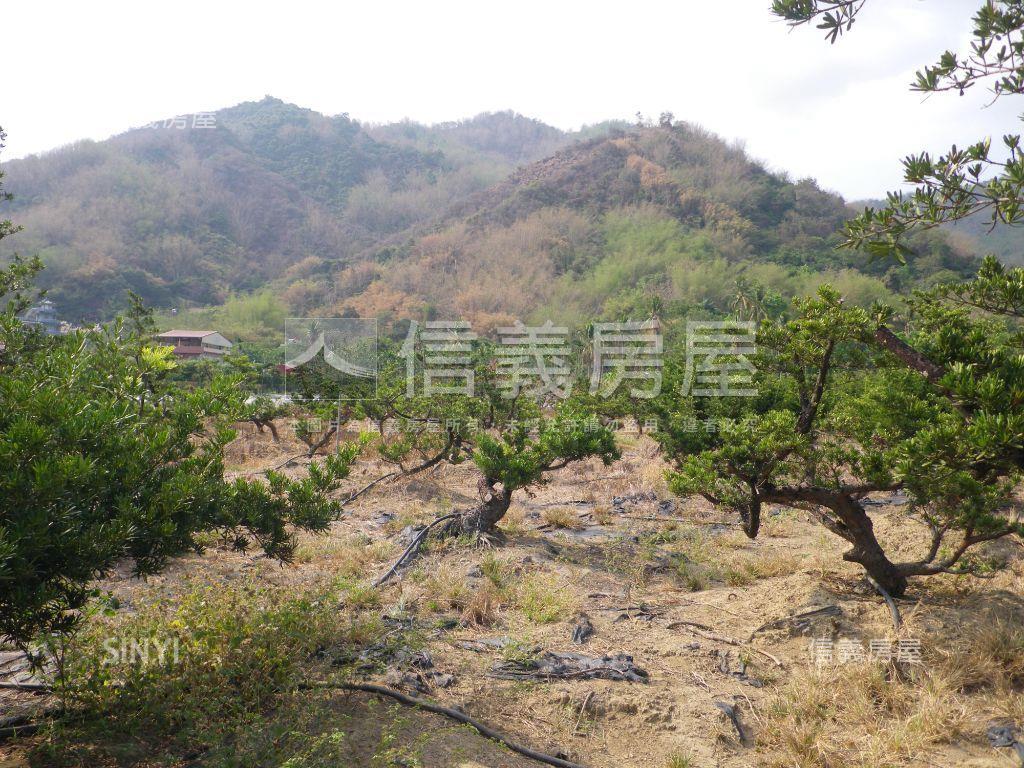 近美濃農會超市漂亮農地房屋室內格局與周邊環境