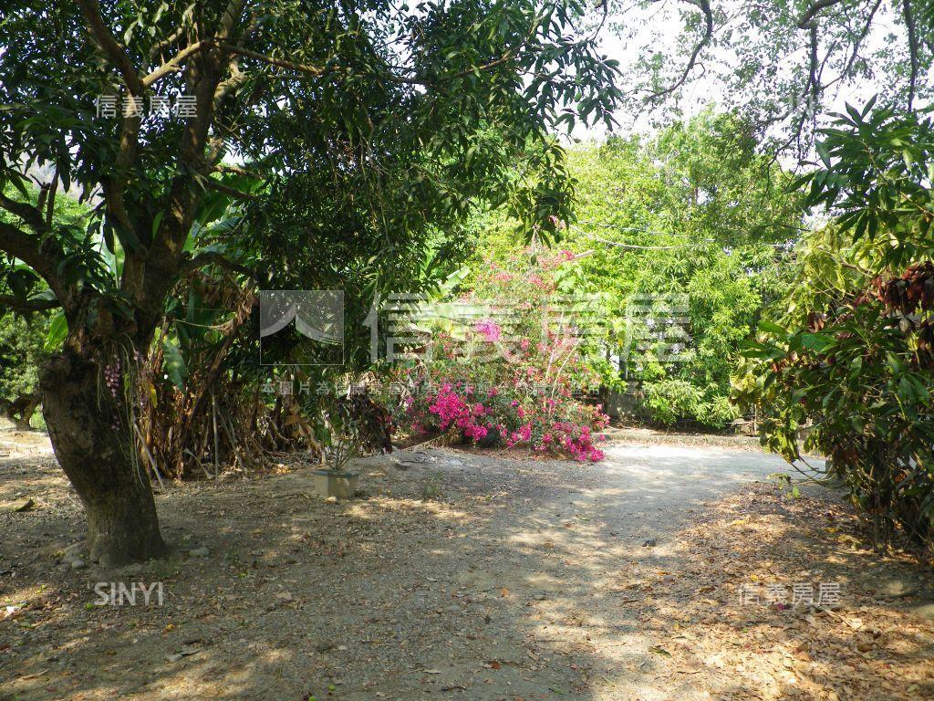 近美濃農會超市漂亮農地房屋室內格局與周邊環境