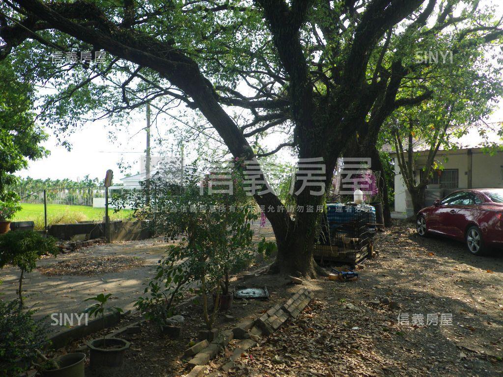 近美濃農會超市漂亮農地房屋室內格局與周邊環境