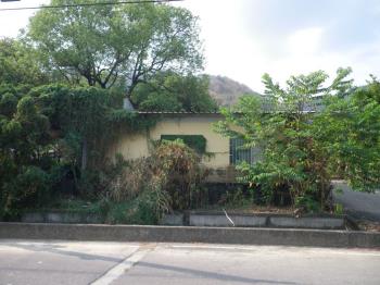 近美濃農會超市漂亮農地