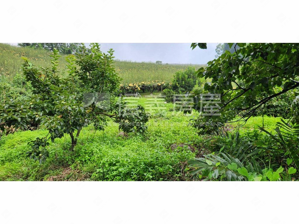 石岡區好規劃農牧用地Ｂ房屋室內格局與周邊環境