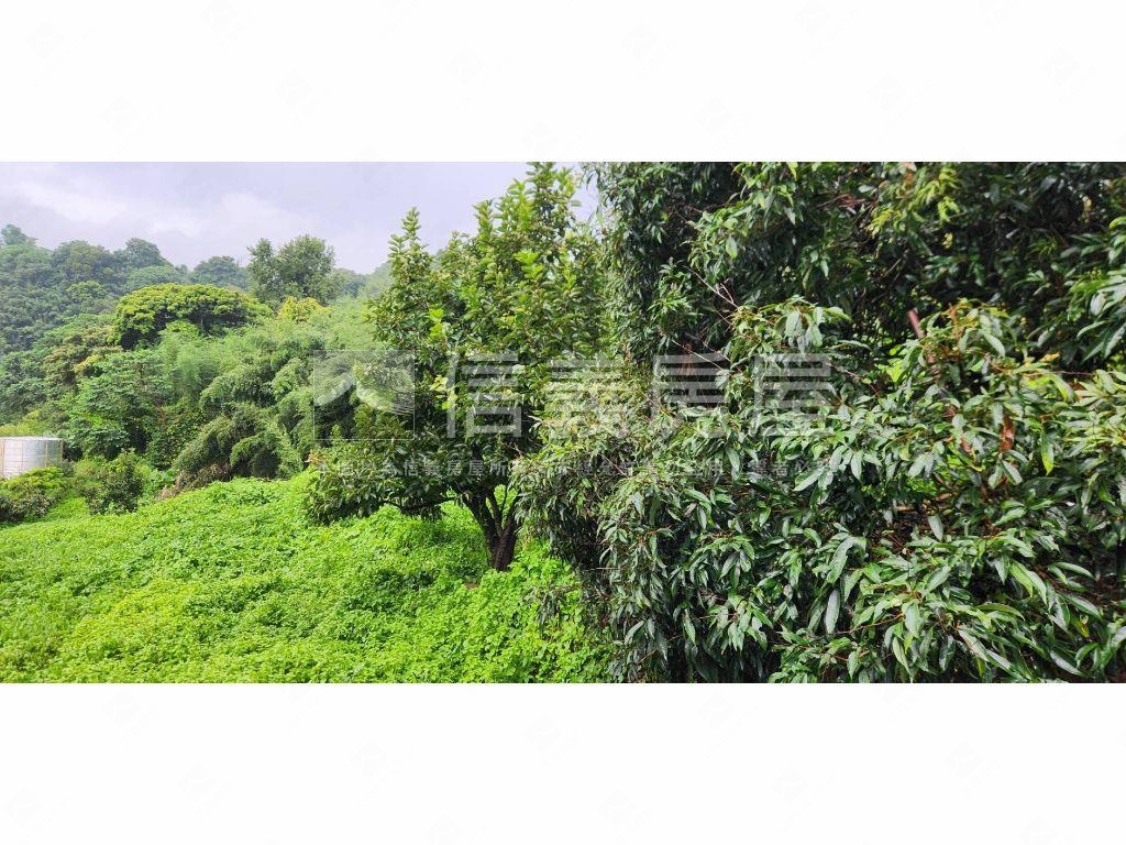 石岡區好規劃農牧用地Ｂ房屋室內格局與周邊環境