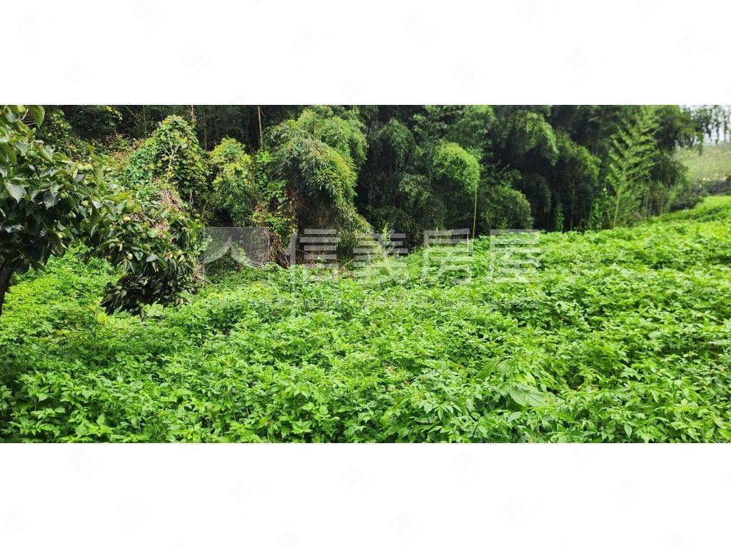 石岡區好規劃農牧用地Ｂ房屋室內格局與周邊環境