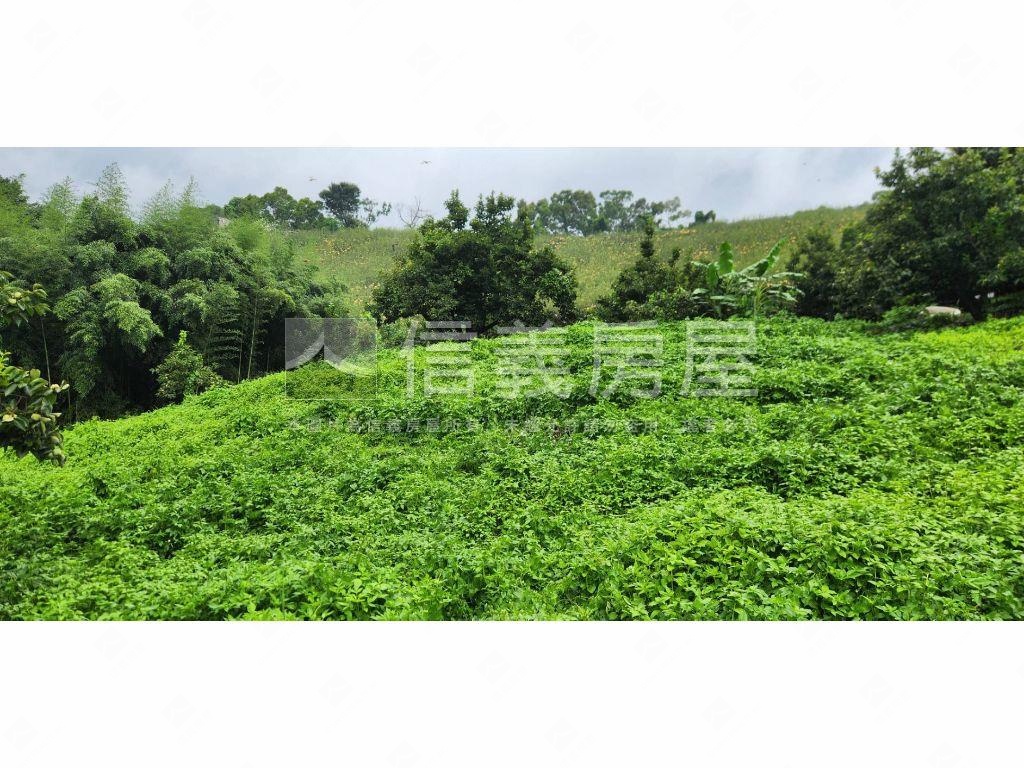 石岡區好規劃農牧用地Ｂ房屋室內格局與周邊環境