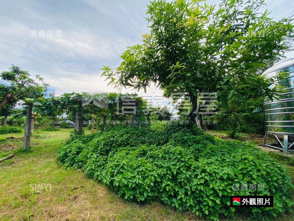北外環寬約４２米都內農地房屋室內格局與周邊環境